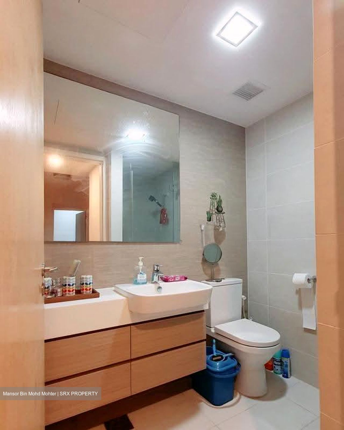 The Lakefront Residences (D22), Condominium #608655131